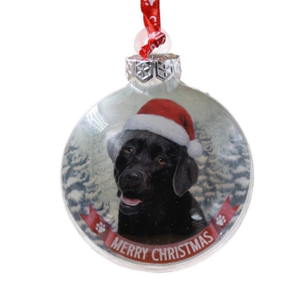 Santa Paws Glass Baubles Christmas Ornament for dog lover Packaged in a gift box - Picture 1 of 7